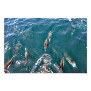 Dana Point Photo Print