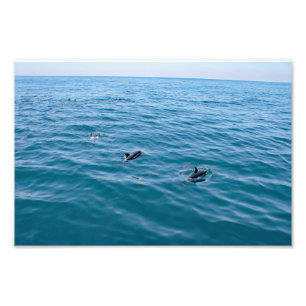 Dana Point Photo Print