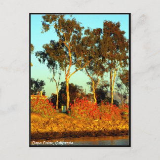 Dana Point Postcard