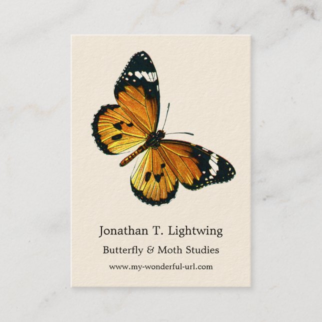 Danaus chrysippus - Plain Tiger, or African Queen  Business Card (Front)