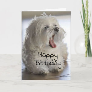 **DANCE INSTRUCTOR** HAPPY BIRTHDAY CARD