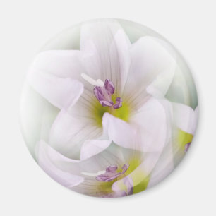 dance of flowers magnet