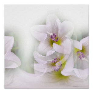 dance of flowers poster