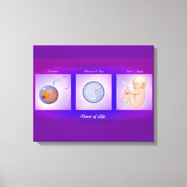 Dance Of Life Pregnancy Art Canvas Print (Front)