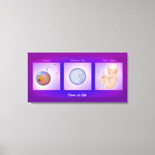 Dance Of Life Pregnancy Art Canvas Print
