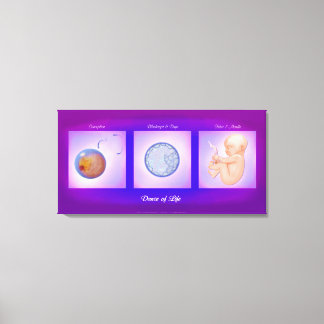 Dance Of Life Pregnancy Art Canvas Print