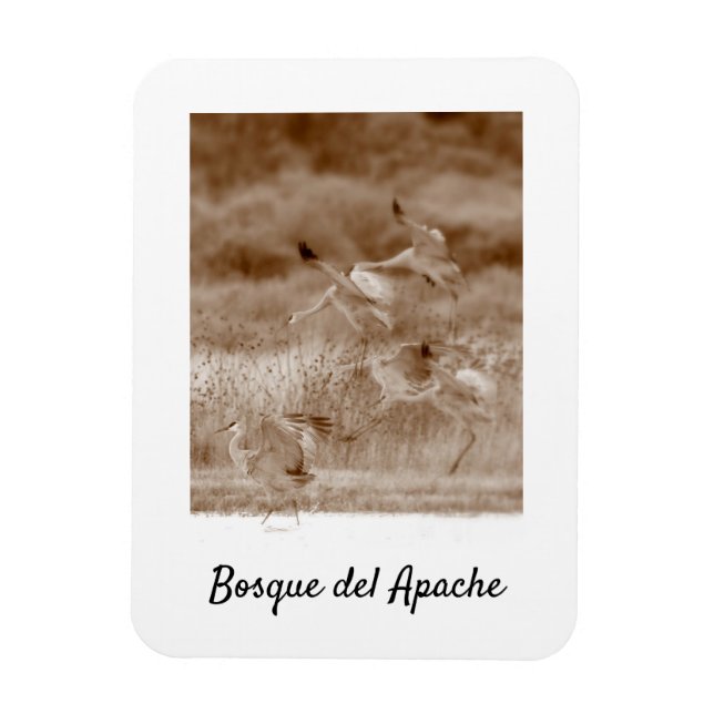 Dance of the Cranes, Bosue del Apache Magnet (Vertical)