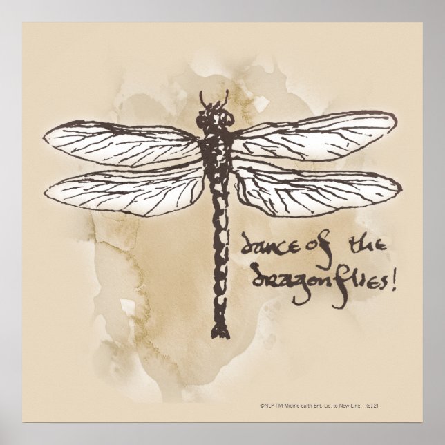 Dance of the Dragonflies Poster (Front)