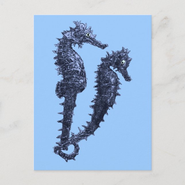 Dance Of The Seahorses (Blue) Postcard (Front)