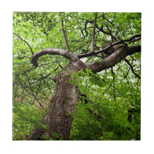 Dancer tree tile