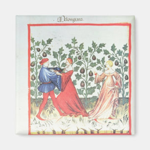 Dancers in front of Broom Plants, 13th century Magnet
