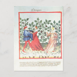Dancers in front of Broom Plants, 13th century Postcard