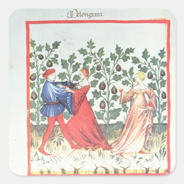 Dancers in front of Broom Plants, 13th century Square Sticker (Front)