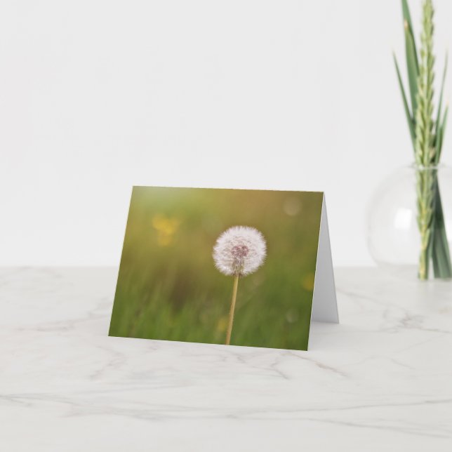 Dances with Dandelions Note Card (Front)