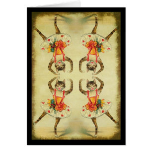 Dancing Cat