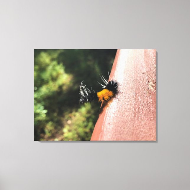 Dancing Caterpillar Canvas Print (Front)