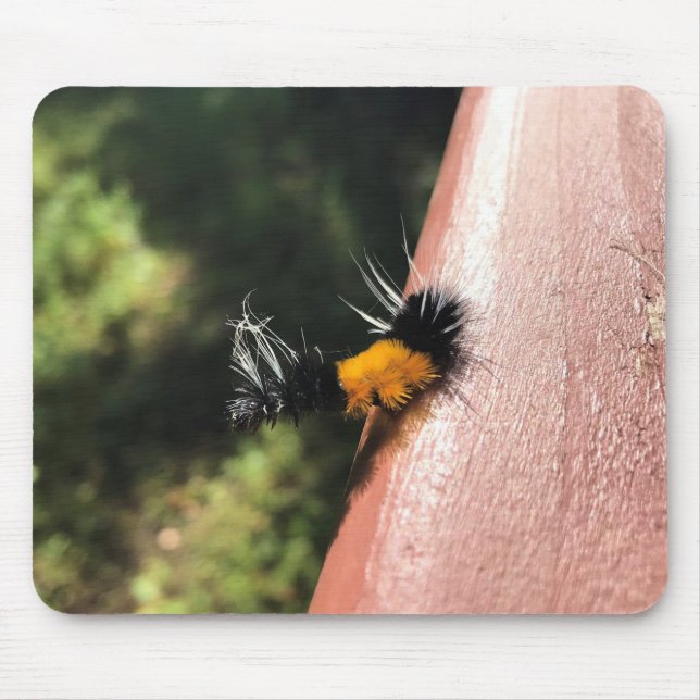 Dancing Caterpillar Mouse Mat (Front)