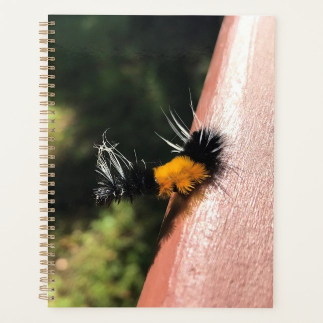 Dancing Caterpillar Planner (Front)