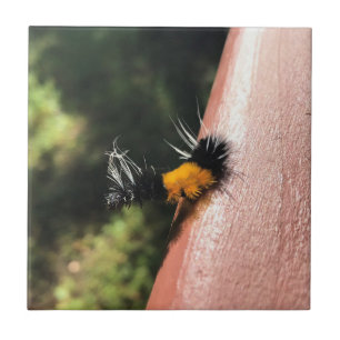 Dancing Caterpillar Tile