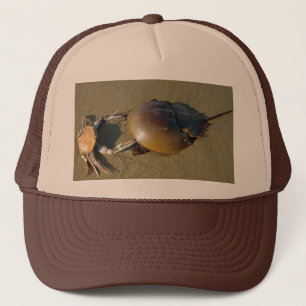 Dancing Crabs Hat