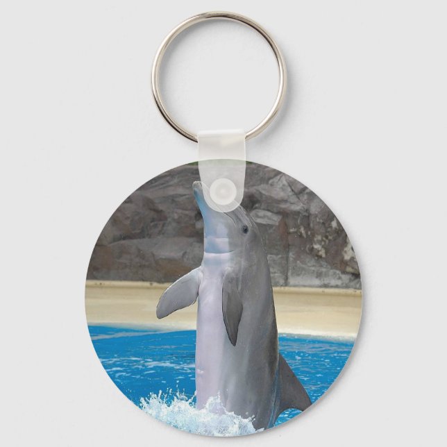 Dancing Dolphin Key Chain (Front)