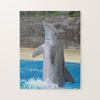 Dancing Dolphin Puzzle