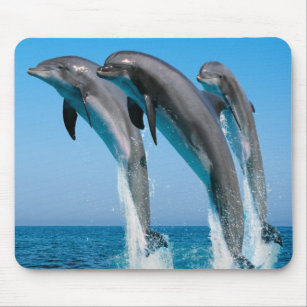 Dancing dolphins mouse mat