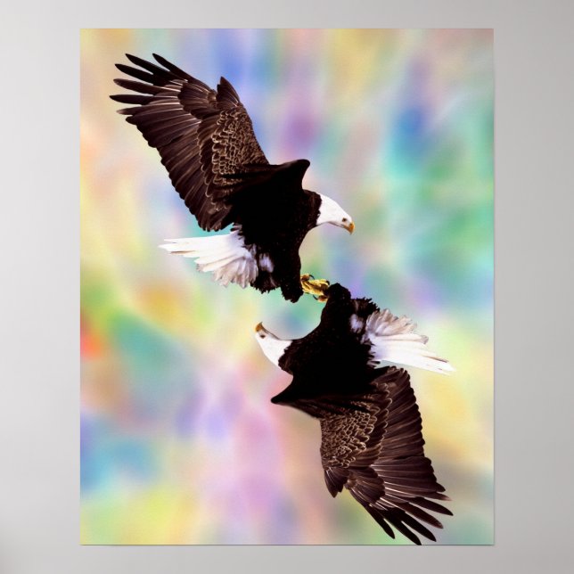 Dancing eagles poster (Front)