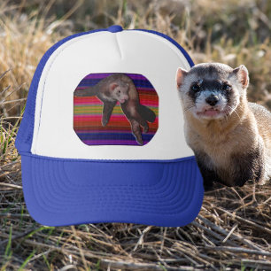 Dancing Ferret Trucker Hat