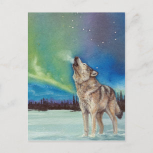 Dancing Lights howling wolf postcard