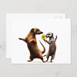 Dancing Meerkats Postcard