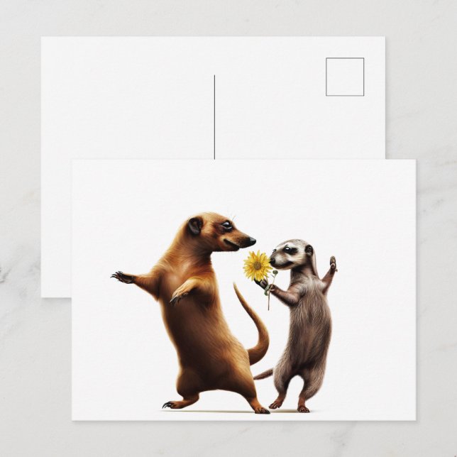 Dancing Meerkats Postcard (Front/Back)