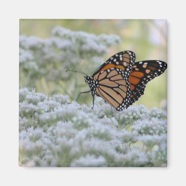 Dancing on flowers magnet (Front)
