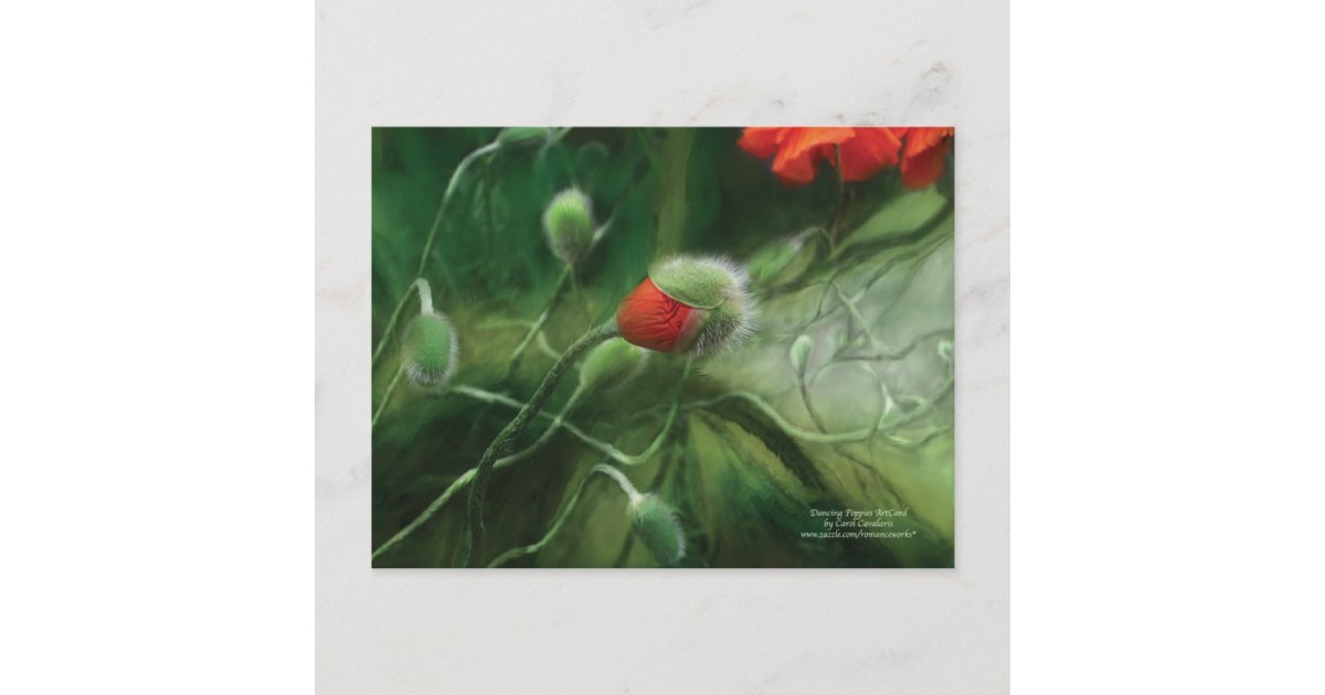 Dancing Poppies Postcard | Zazzle