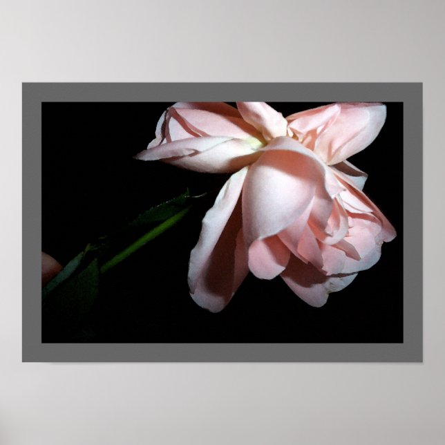 Dancing Rose Poster (Front)