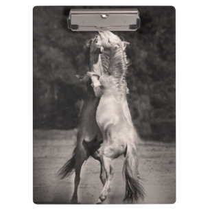 Dancing Stallions Clipboard