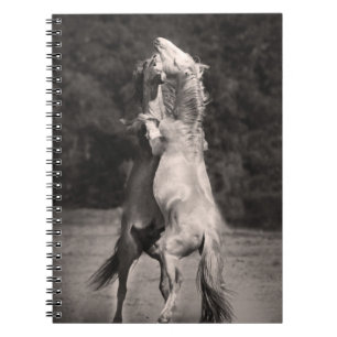 Dancing Stallions Notebook