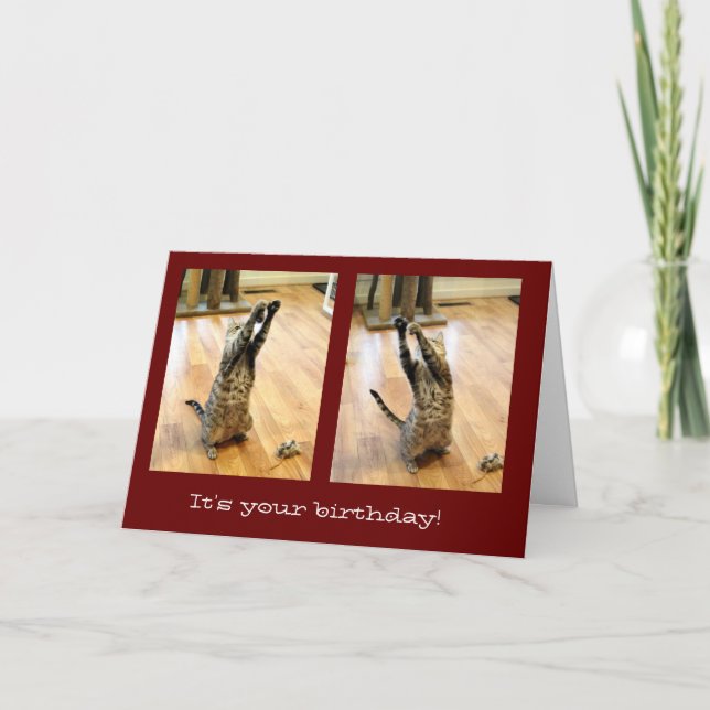 Dancing Tabby Cat Birthday Card (Front)