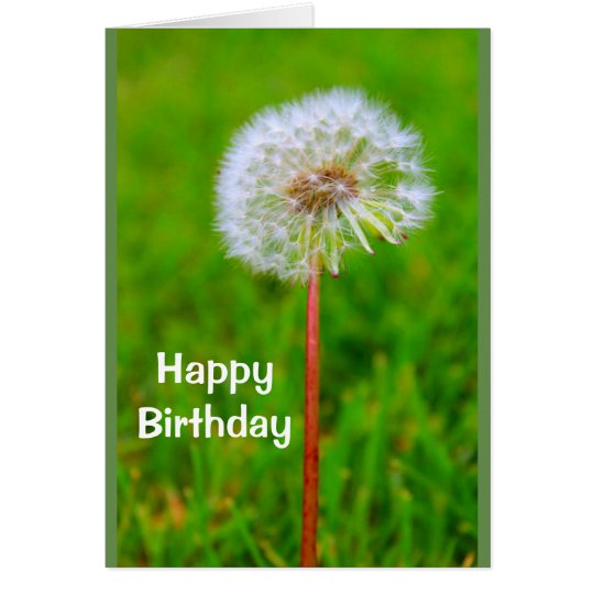 Dande Birthday I'm Not Lion Card