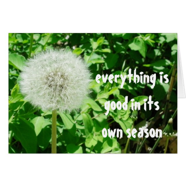 Dandelion (Front Horizontal)