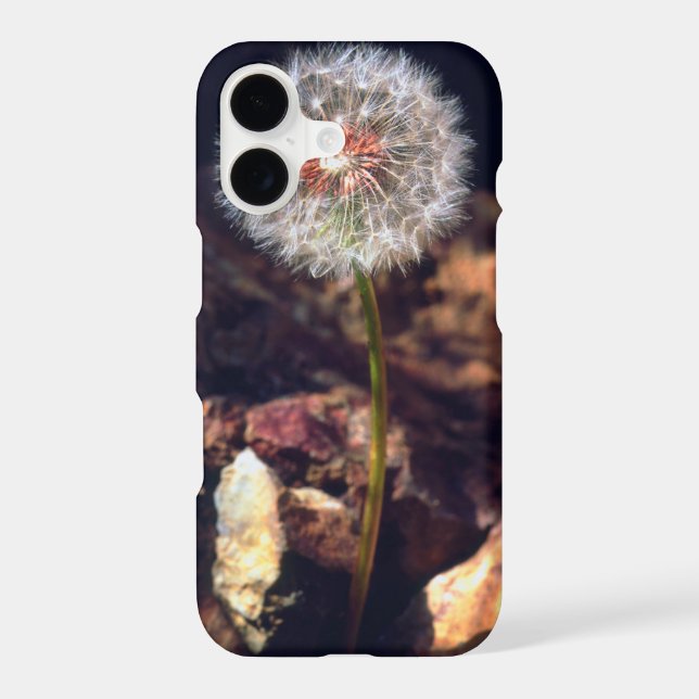 Dandelion (Back)