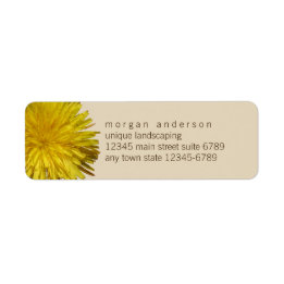 Dandelion 1 | Yellow Floral Garden Fun Business