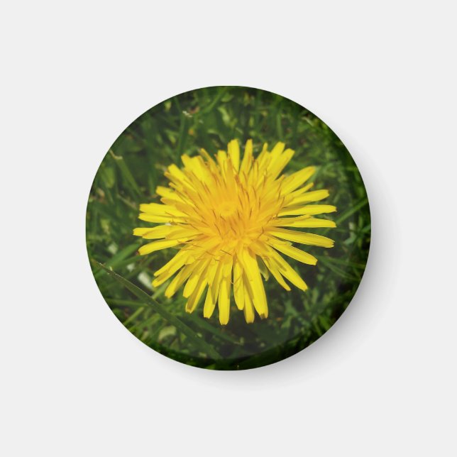 Dandelion#2 Magnet (Front)