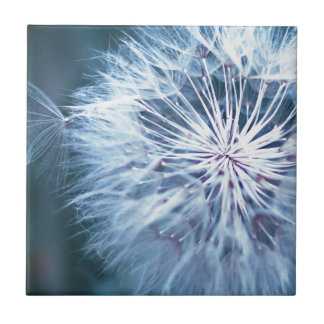 Dandelion 2 tile