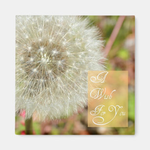 Dandelion- A Wish for You Magnet