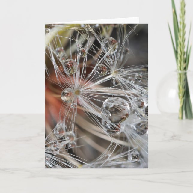 Dandelion Abstract Card (Front)