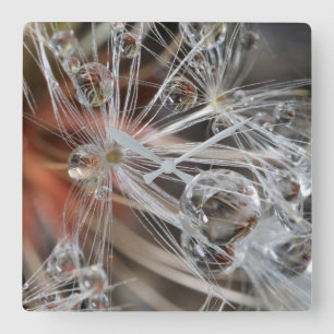 Dandelion Abstract Square Wall Clock