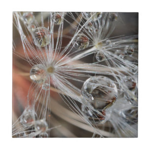Dandelion Abstract Tile