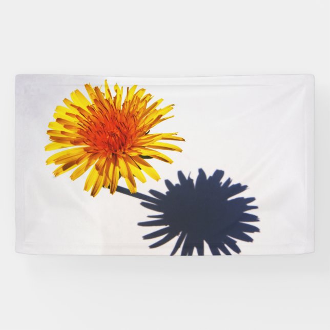 Dandelion and Shadow bnrcnm Banner (Horizontal)