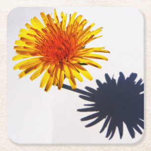 Dandelion and Shadow coastercna Square Paper Coaster